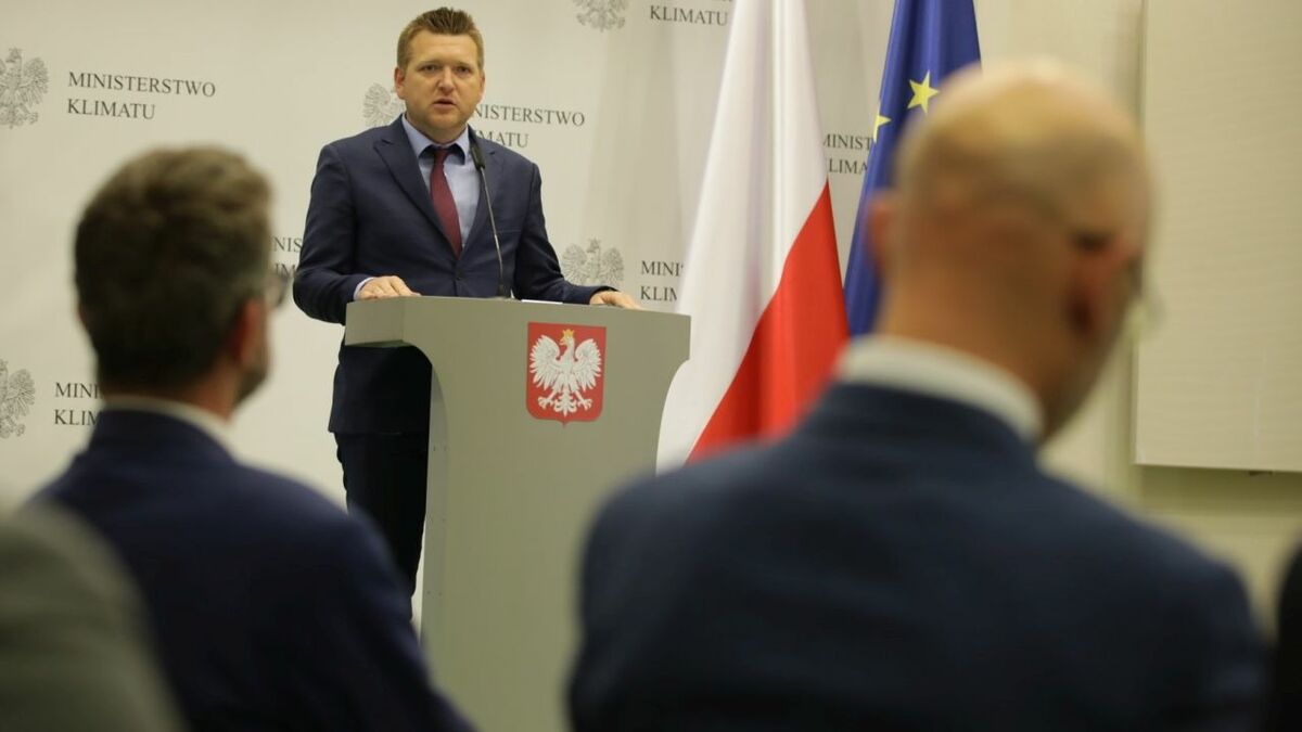 Poland boosts capacity covered by first round CfDs